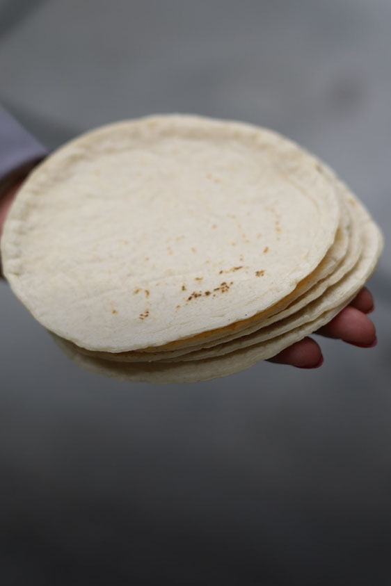 Tortilladoras de Maiz